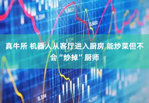 真牛所 机器人从客厅进入厨房 能炒菜但不会“炒掉”厨师