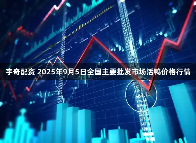 宇奇配资 2025年9月5日全国主要批发市场活鸭价格行情