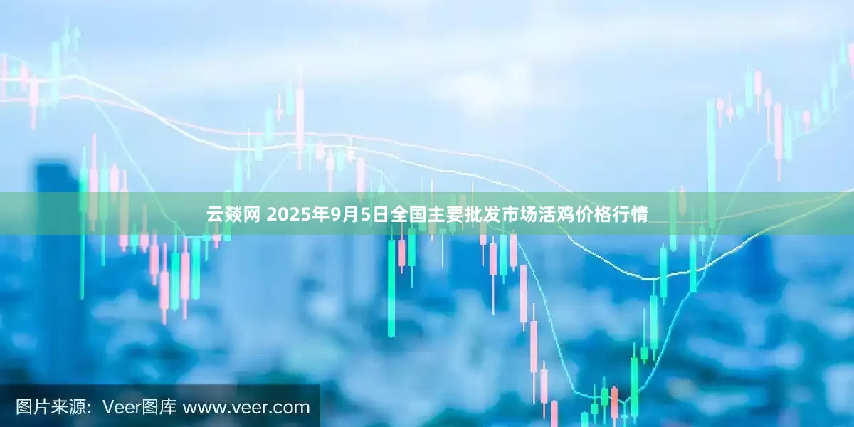 云燚网 2025年9月5日全国主要批发市场活鸡价格行情
